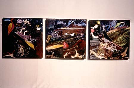 Arline Erdrich
Unsung Heroes, 1993
acrylic/ acryllage, enamel on linen, 24 x 66 inches
triptych