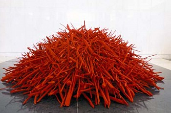 Shayne Dark -&nbsp;Habitat