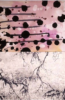 Sandra De Sando -&nbsp;Fog Branch