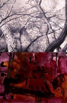 Sandra De Sando -&nbsp;Branch Branch