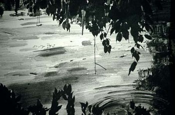 Sandra De Sando -&nbsp;Light, Darkness, Higan Cherry #2