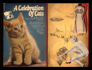 Ellie Brown -&nbsp;A Celebration of Cats