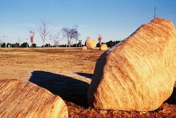Benjamin Butler -&nbsp;Glacial Erratics