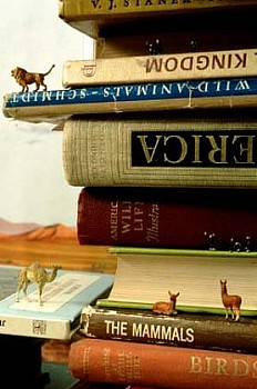 Bill Burns -&nbsp;How to Help Animals Escape from Natural History