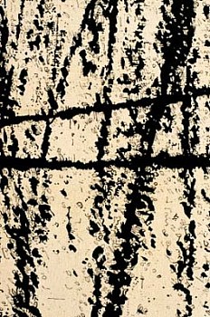 Search: Alan Brooks, Untitled, 1997