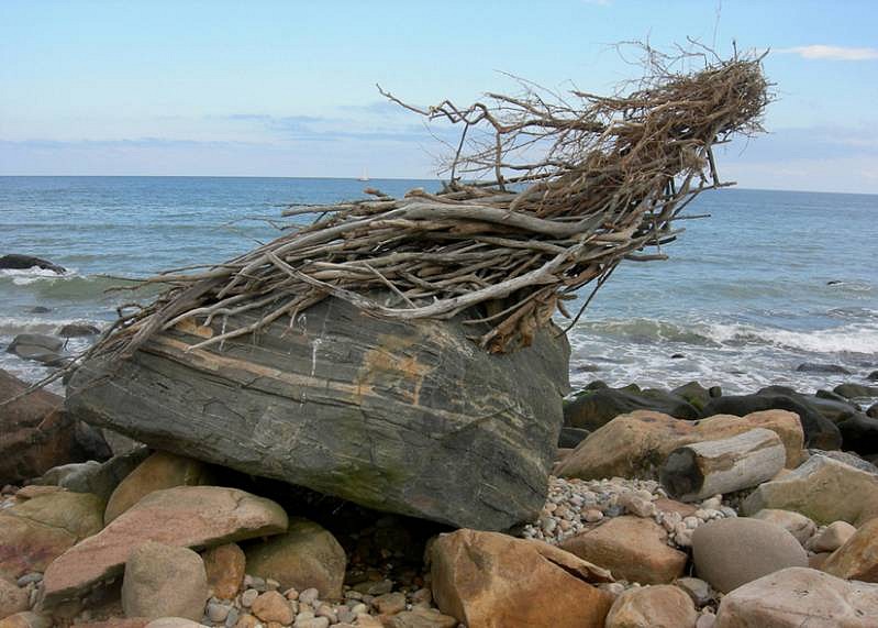 Kathy Bruce
Homage to Neruda, 2008
scavenged recycled driftwood on rock base, 96 x 48 x 120 inches
The Nature Conservancy/ Andy Warhol Preserve, Montauk Beach, Long Island, NY