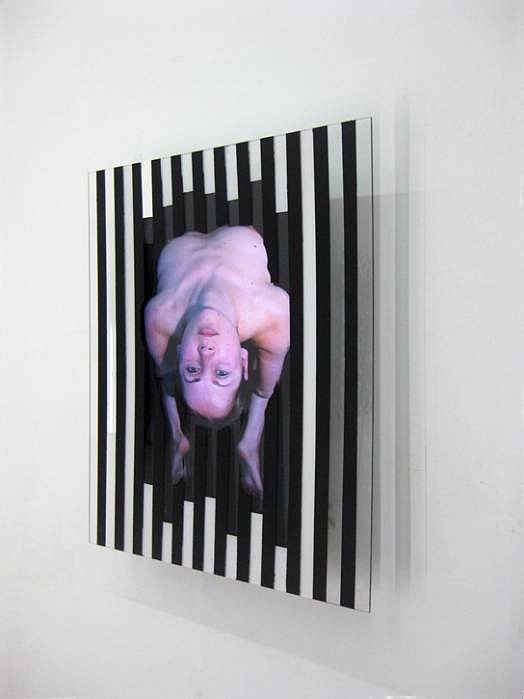 Sean Branagan
Chicken, 2010
acrylic paint, perspex, LCD screen (moving image), 60 x 70 cm