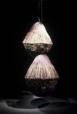 Ada Bobonis
Pompones, 1999
rope, 2 spheres, each 5 feet in diameter