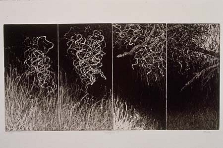 Cynthia Back
Entangled III, 1994
etching, aquatint, 12 x 24 inches