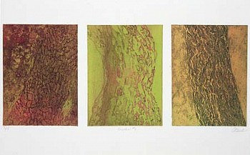 Cynthia Back -&nbsp;Trunks #1