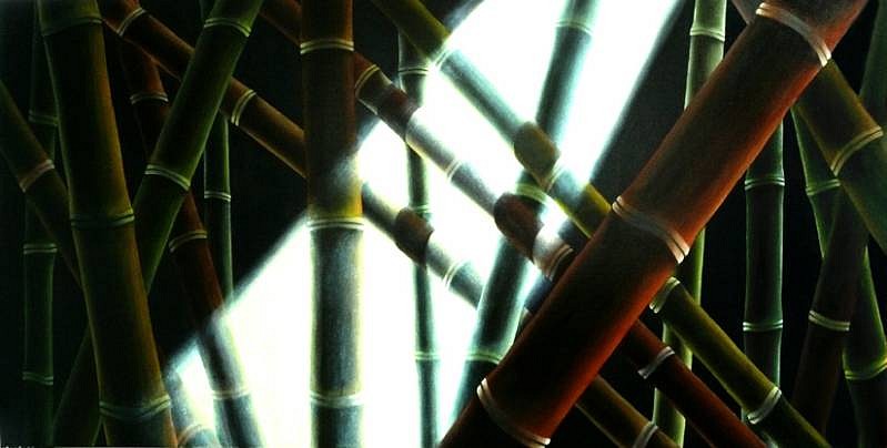 Juan Bernal
Bamboo with Light Rays, 2008
oil on canvas, 36 x 72 inches