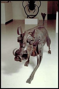 Jane Ackroyd -&nbsp;Wart Hog