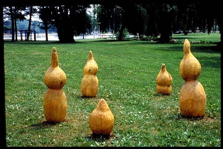 Anne Alexander
Sprouting Bulbs, 1994
maple