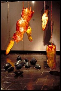 Anne Alexander -&nbsp;Tropical Infestation