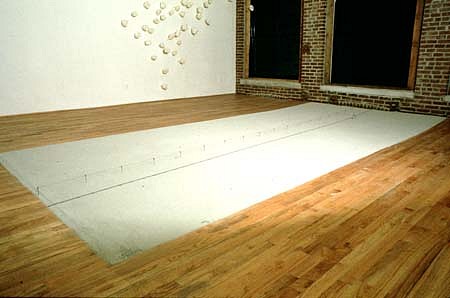 Michael Ashkin
The Silver Point is the end of the Road, 1996
mixed media, 216 x 96 inches