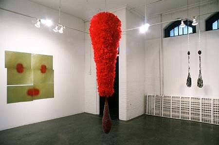 Tina Aufiero
Appearances, 1991
red feathers and chicken wire, 96 x 36 inches
from the two person exhibition "Fearful Symmetry"