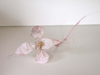 Susan Freda -&nbsp;Untitled