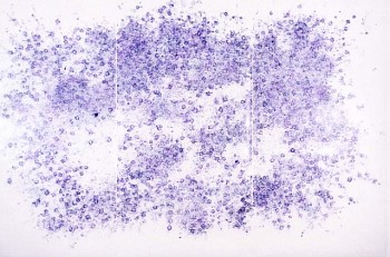 Artist: Nancy Friedemann