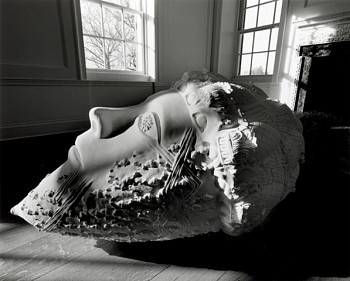 Leslie Fry -&nbsp;Quercus Emancipation (detail)