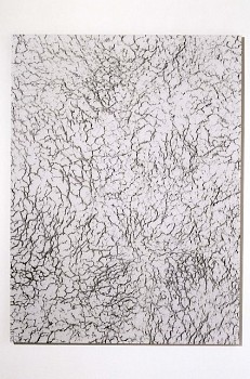 Gerald Giamportone -&nbsp;Untitled No. 22