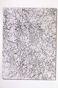 Gerald Giamportone -&nbsp;Untitled No. 24