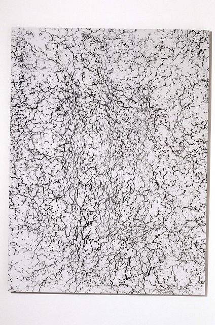 Gerald Giamportone
Untitled No. 24, 2003 - 2004
gelatin - silver print, mounted on acrylic, 60 x 45 in.