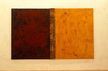 Artist: Harmony Hammond