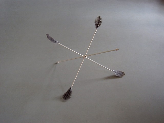 Tomas Hlavina
Birds of Wings, 2004
wood, feather, 61 x 105 x 105 cm
