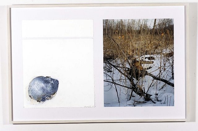Vera Klement
War Monody, 2002
photo, graphite, pastel, collage, 26 3/4 x 40 1/2 in.