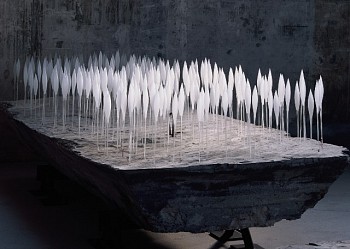 Monika and Bohus Kubinsky - Hall