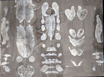 Saritha Margon -&nbsp;Gray