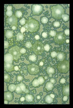 Andrea Way - Chalcedony