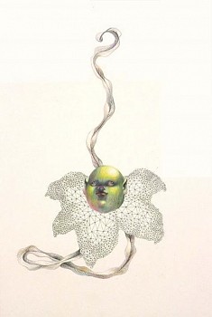 Elizabeth Olbert -&nbsp;Untitled