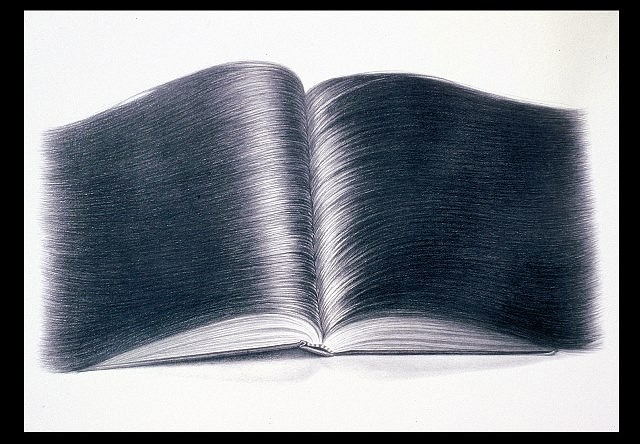 Hong Zhang
Novel, 2005
graphite on paper, 18 x 24 in.