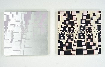 Artist: Elise Adibi