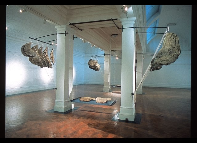 Alan Alborough
heathen wetlip, 1997
dry salted elephant's ears and feet, rope, pulleys, chain, cash clamps, steel canteen table, dimensions variable