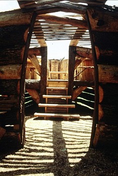 Alzaruba -&nbsp;Hunting Light