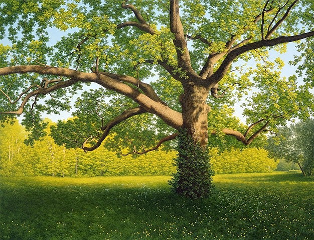 Timothy Arzt
Portrait of a Tree, 2004
oil on linen, 18 1/2 x 24 in.