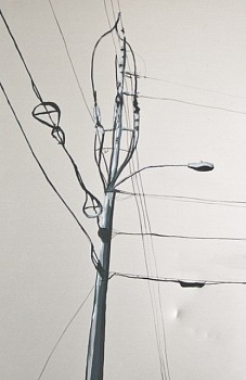 Laura Spalding Best -&nbsp;Every Telephone Pole on Roosevelt Street #3 of 18