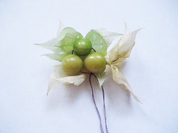 Leah Gauthier -&nbsp;Ground Cherries