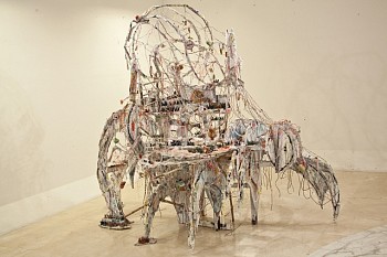 Jesse Bercowetz -&nbsp;Media