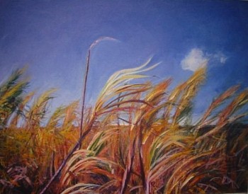 Keiko Bonk -&nbsp;Wild Sugar