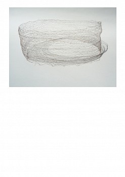 Ruth Baumann -&nbsp;Wanting to be Donated