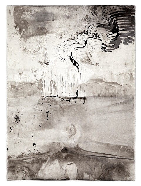 Sky Pape
Untitled (Image 3941), 2012
sumi ink on watercolor paper, 30 x 22 in.