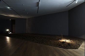 Mac Adams -&nbsp;The Passenger