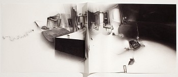 Charlotte Schulz - An insufficiency in our screens: our hurt sang back to mlk when the incompossible appeared.