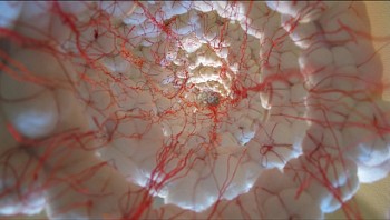 Artist: Ana B. Hernandez