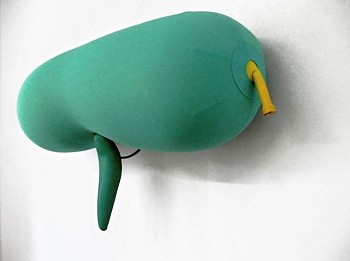 Nancy Davidson -&nbsp;Dudette