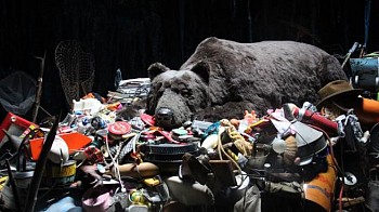 Mark Dion -&nbsp;Den