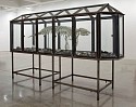 Mark Dion, Trichechus manatus (Cast Manatee Skeleton)
2013, Glass and steel vitrine, tar, numerous small trinkets